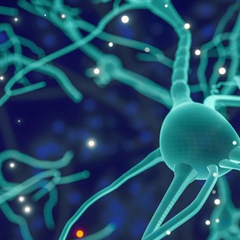 ABC Nerve Care tablets uses for nerve strength and neurological health support